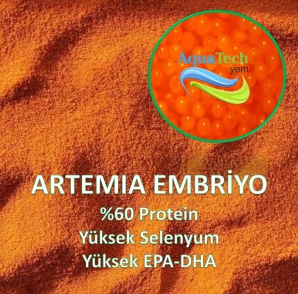 Artemia Embriyosu 500 Gr