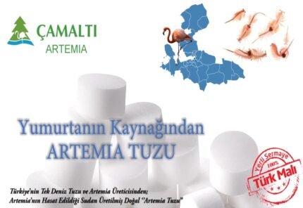 Artemia Tuzu 1000 Gr