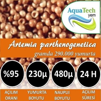Premium Artemia Yumurtası  100 Gr
